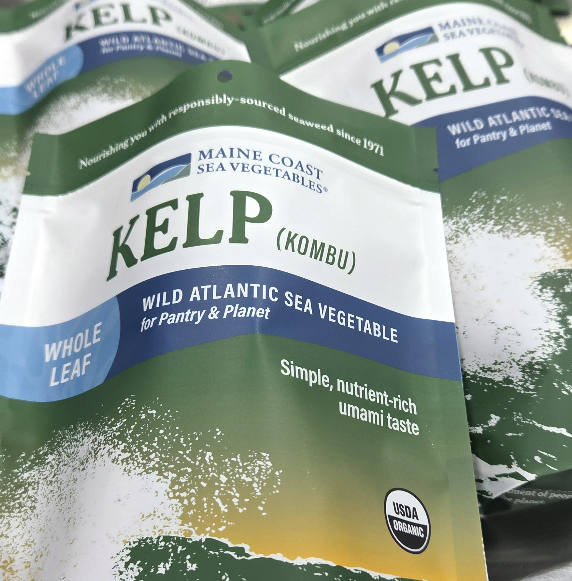 Kelp